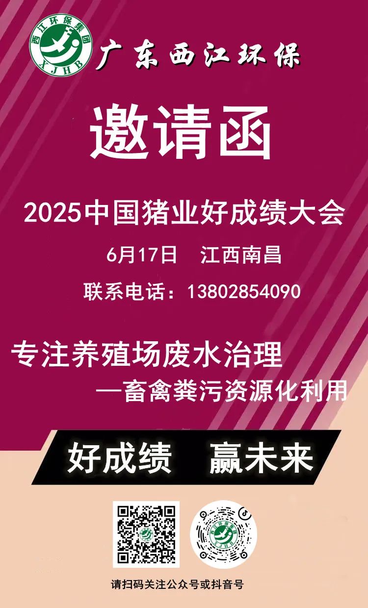 113_content_1749025270314171