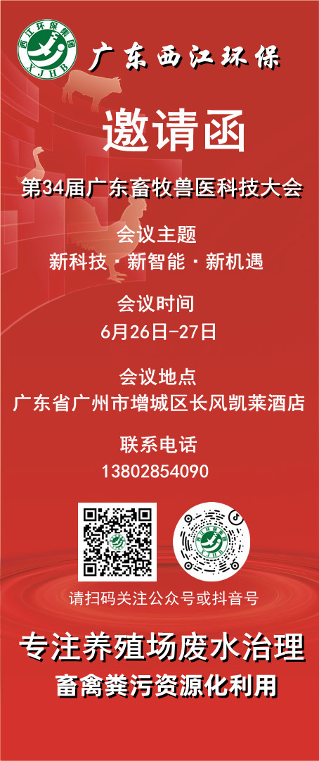 115_content_1750412890395108