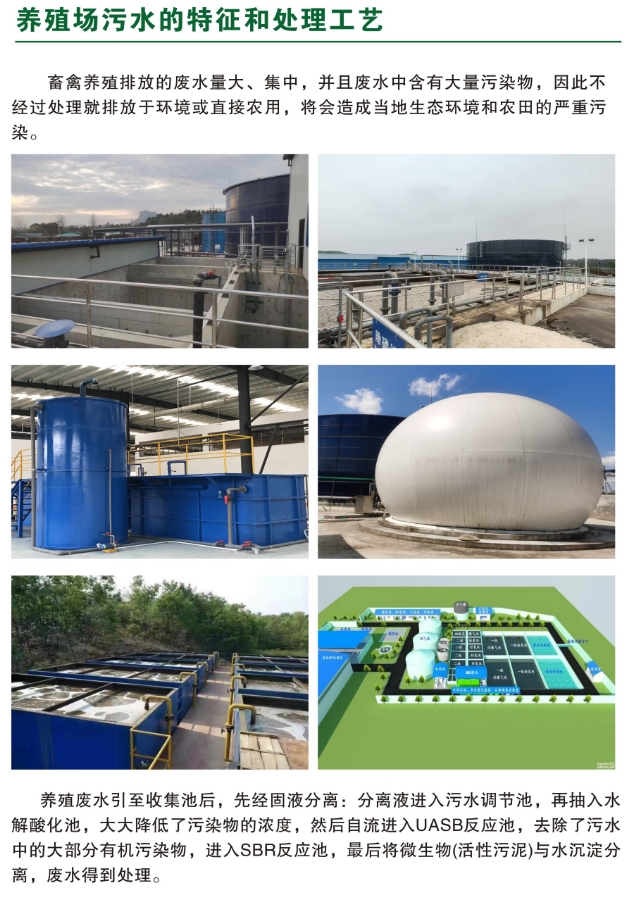 _content_1750124671584594