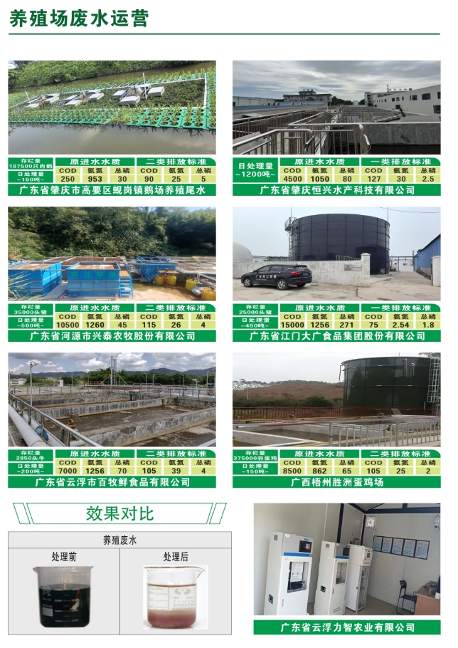 _content_1750124813240677