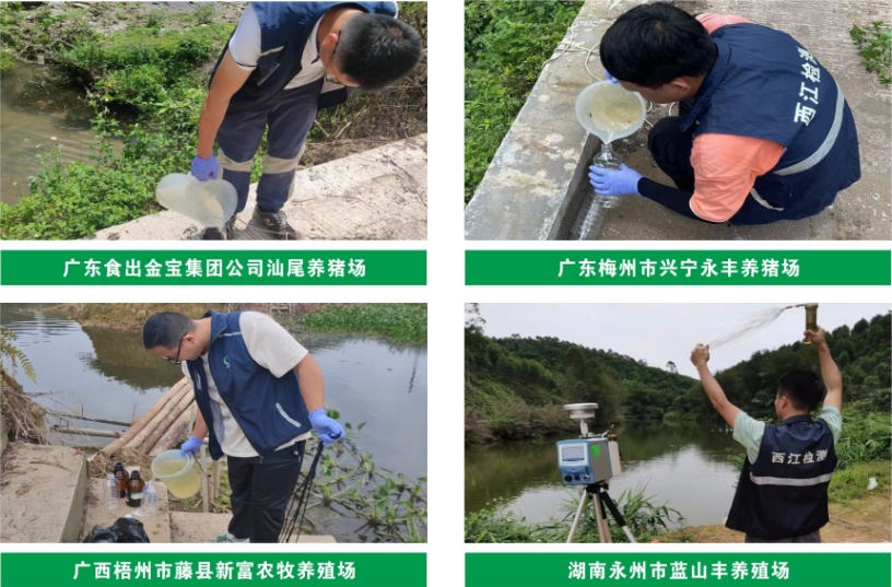 _content_1750123862774302